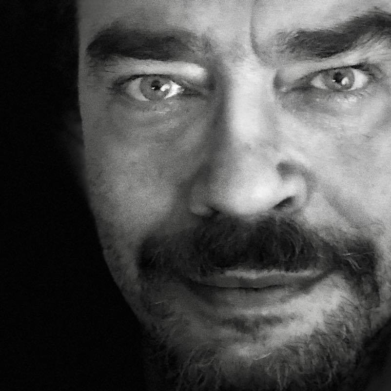 Frans Mäyrä (2017)