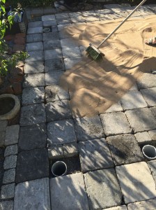 Greenhouse foundations construction work.