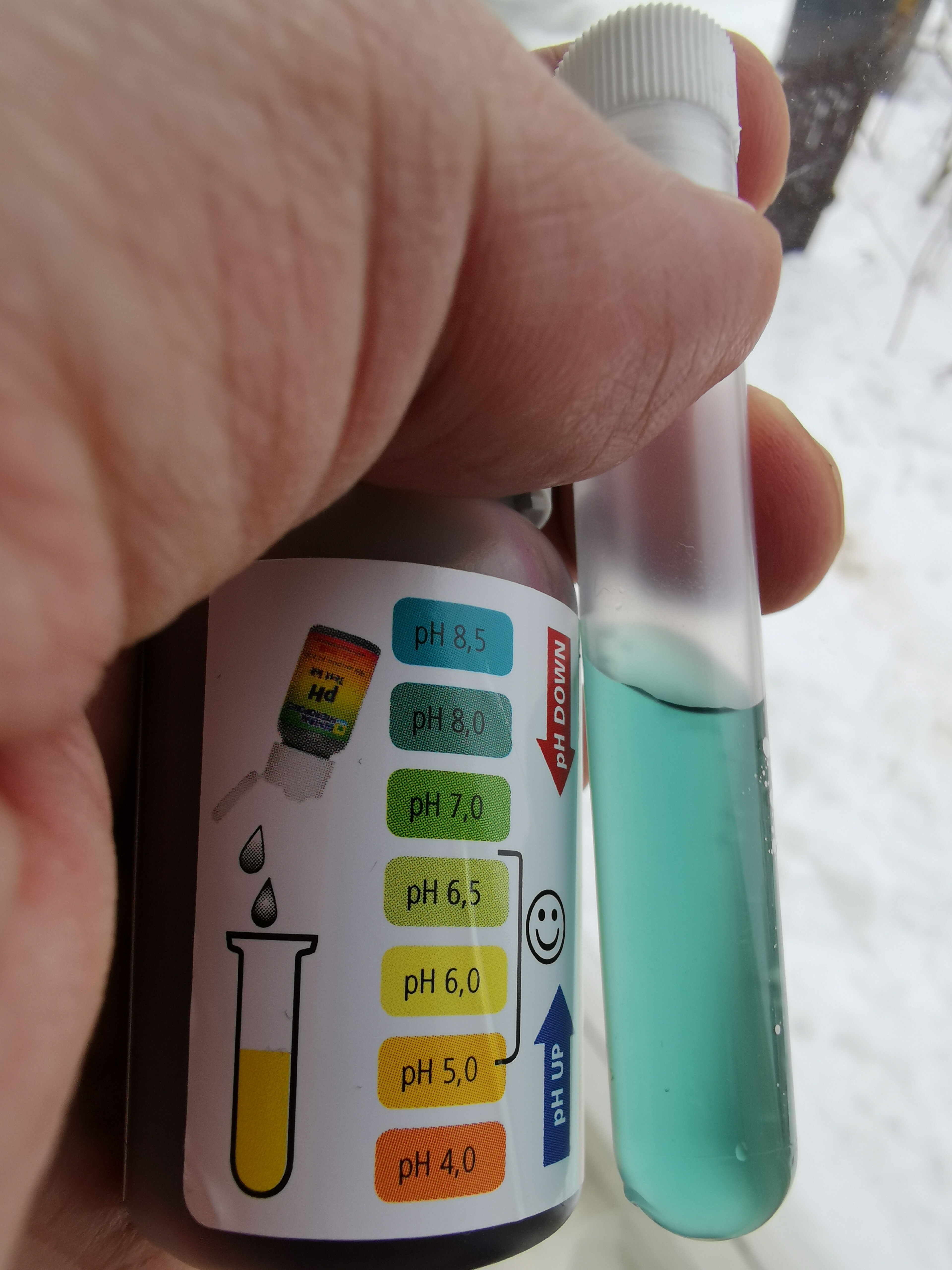 Testing the pH of our tap water.